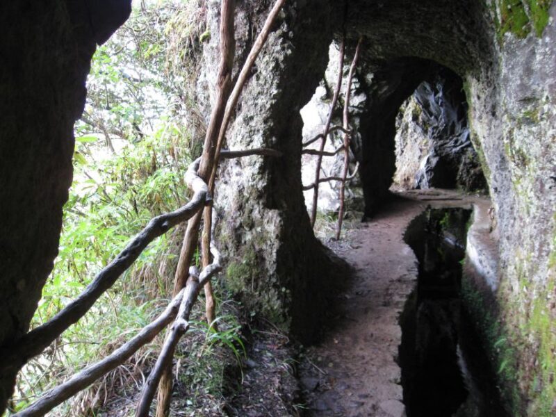 Ribeiro Frio / Portela - Levada Walk - Why This Tour Is Worth It
