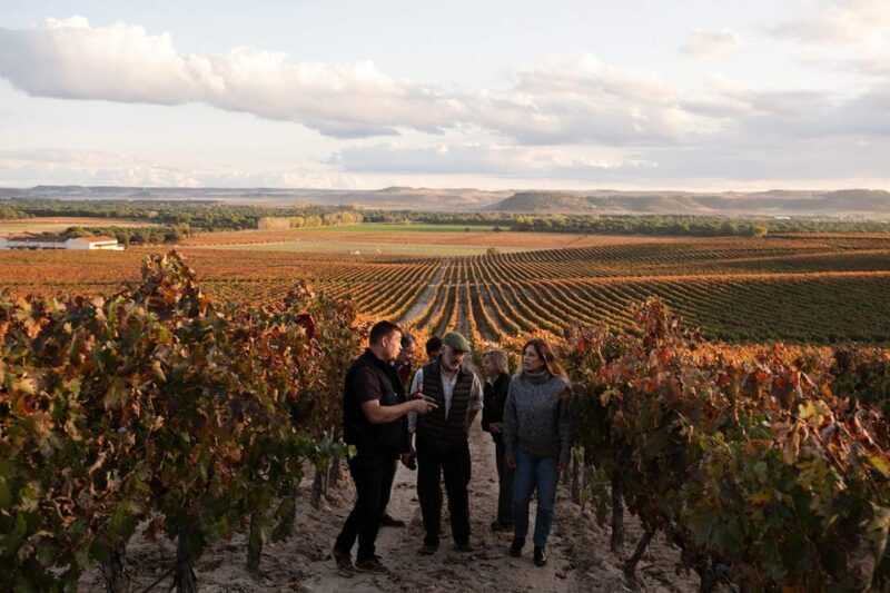 Ribera del Duero: Experience, vineyard and 4x4 mountain, aperitif and tasting. - Key Points