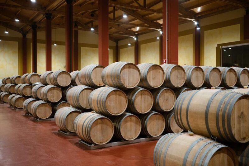 Ribera del Duero: Experience, vineyard and 4x4 mountain, aperitif and tasting. - An In-Depth Look at the Ribera del Duero Tour