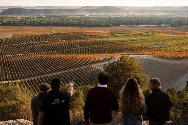 Ribera del Duero: Experience, vineyard and 4x4 mountain, aperitif and tasting. - Final Thoughts: Who Will Love This Experience?