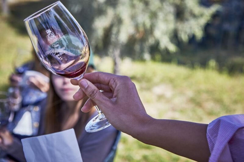 Ribera del Duero: Red Wine Discovery Tour with Tastings - An In-Depth Look at the Ribera del Duero Wine Tour
