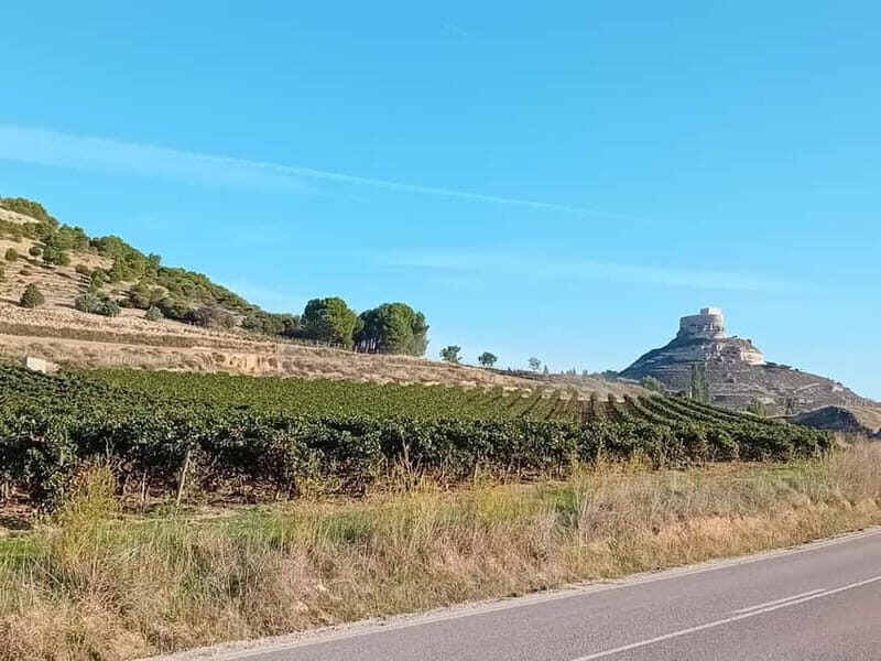 Ribera del Duero Tour: 2 Wineries with Transport from Madrid - Exploring Ribera del Duero: A Hands-On Wine Experience from Madrid