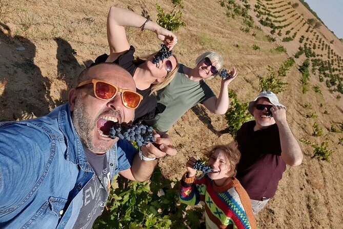 Ribera del Duero Tour: 4 Wineries Visit, Wine Tasting & Lunch - What Makes this Tour Valuable?
