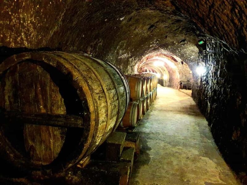 Ribera del Duero Tour: From Madrid to Ribera del Duero - lunch included - Lunch: A Tapas Feast at Nabal Winery