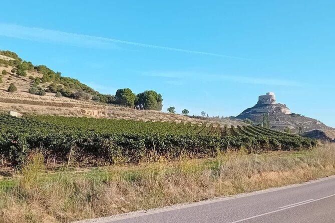 Ribera del Duero Tour: Three Wineries & Lunch from Madrid - Final Thoughts: Is This Tour Worth It?