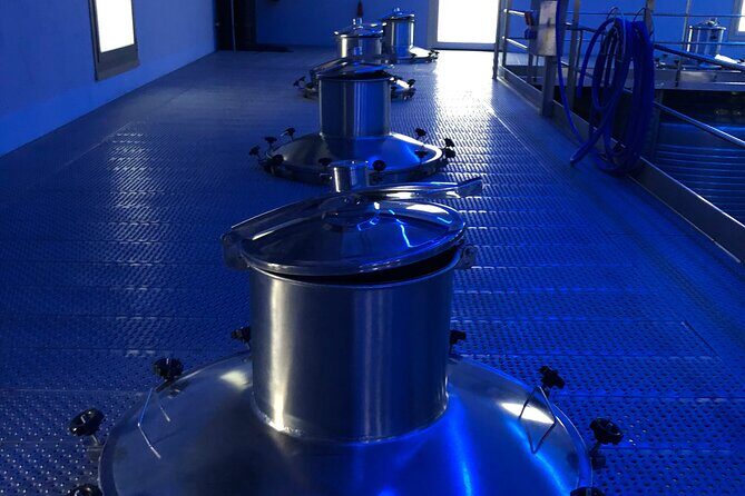 Ribera del Duero Tour: Two Wineries with Transport from Madrid - What’s Included & What to Expect