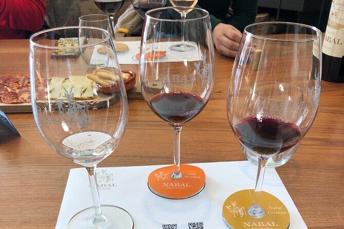 Ribera del Duero Tour: Two Wineries with Transport from Madrid - Who Will Love This Tour?