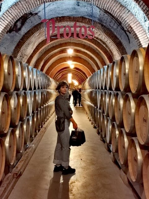 Ribera del Duero wine region private tour - An In-Depth Look at the Ribera del Duero Private Tour