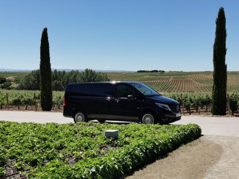 Ribera del Duero wine region private tour - The Sum Up