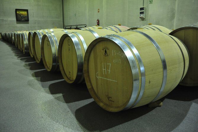 Ribera del Duero Wineries Guided Tour & Wine Tasting from Madrid - What Makes This Tour Stand Out