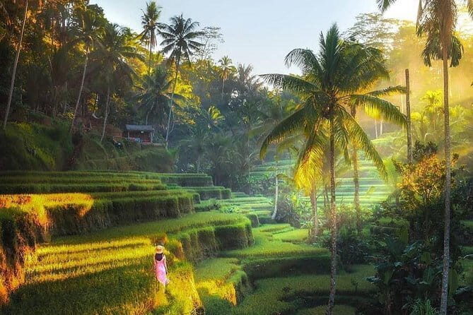Rice terrace tour and Ubud area tour - Introduction