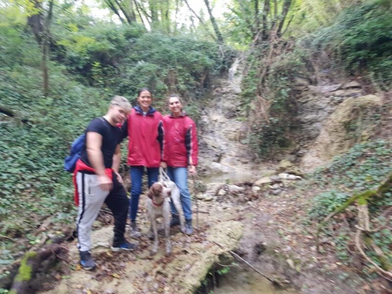 Ricerca del tartufo: esperienza da tartufaio per un giorno - FAQ