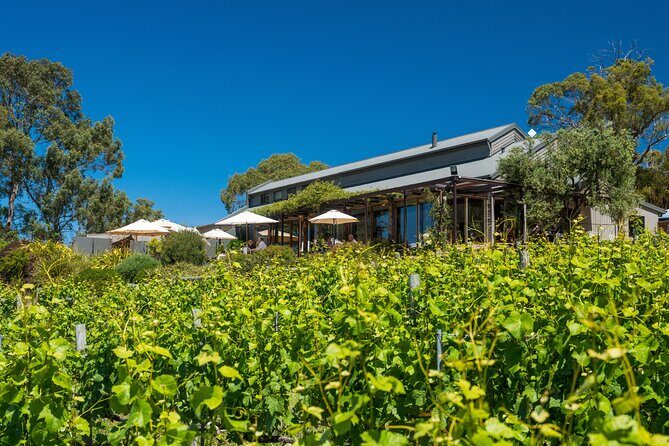 Richmond and Wine Tour - Final Thoughts