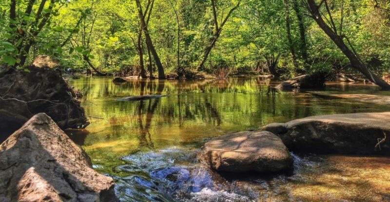 Richmond: Guided Hike in James River Park - Key Points