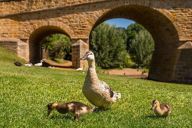 Richmond Historic Afternoon Tour from Hobart - Who Would Love This Tour?