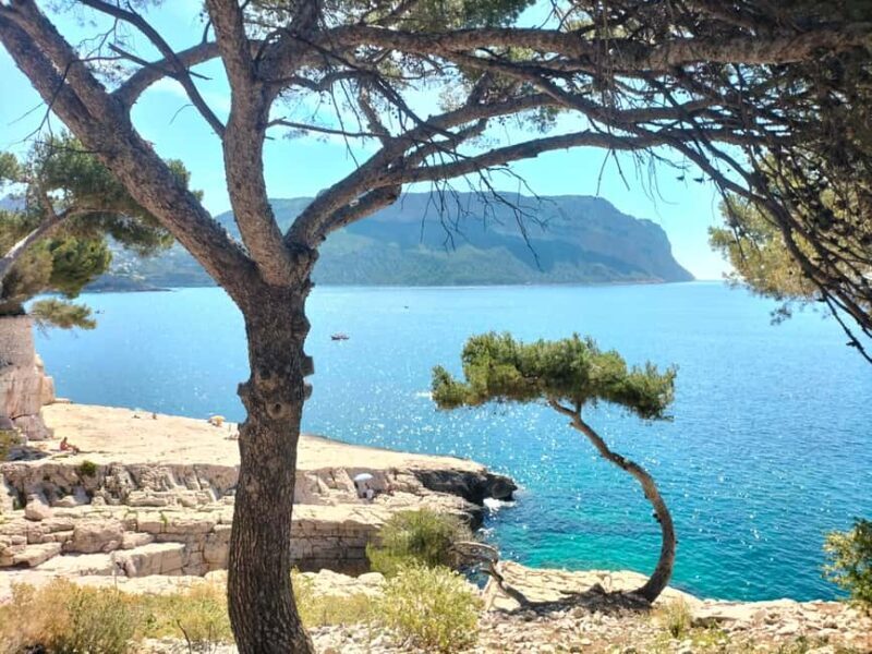 Richness of Provence in one day - customizable private trip - Why Choose This Tour?