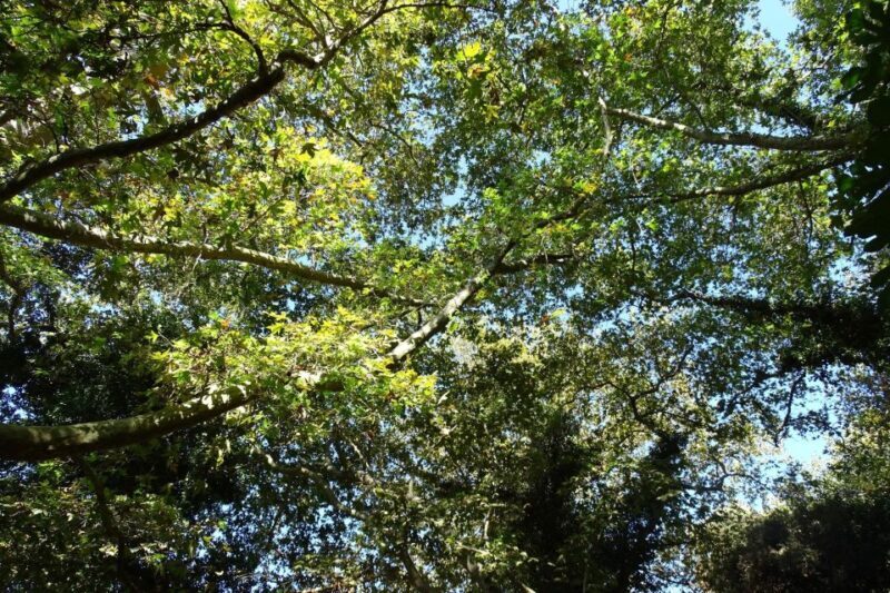 Richtis Gorge Private Guided Hiking Tour - The Sum Up: Is This Tour Worth It?