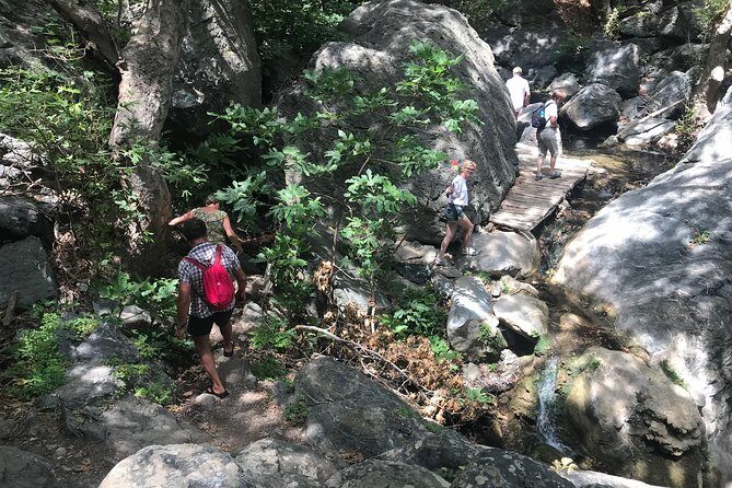 Richtis Waterfall, History, Azoria, OliveTasting, NorthCoast - FAQs