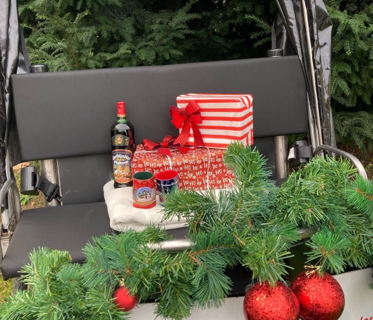 Rickshaw Glühwein Ride - Discovering Cologne from the Seat of a Rickshaw