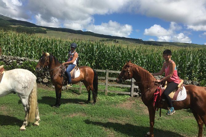 ride a volcano - go to the gardens in the woods - The Itinerary: From Farm to Volcano Viewpoint