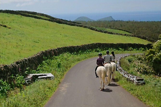 ride a volcano - go to the gardens in the woods - What’s Included and What’s Not