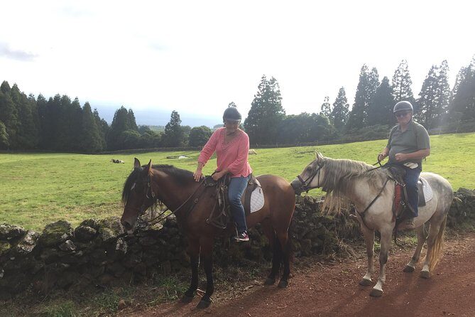 ride a volcano - go to the gardens in the woods - Cost and Value