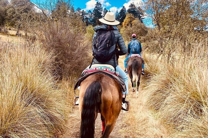 Ride Ajusco mountain trails & enjoy a ranch barbecue - What Makes This Tour Stand Out?