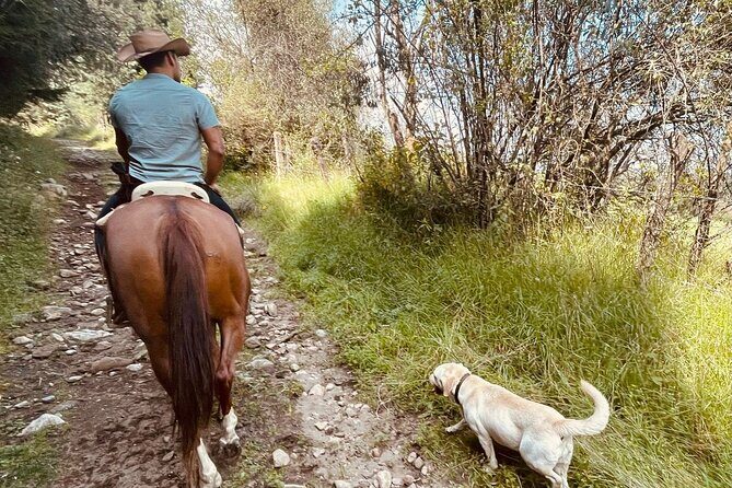 Ride Ajusco mountain trails & enjoy a ranch barbecue - Who Is This Tour Best For?