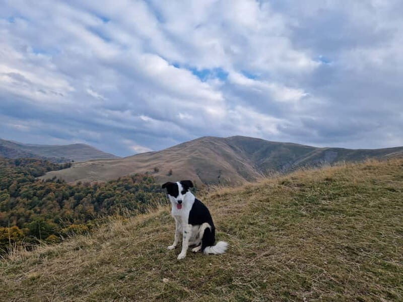 Ride Braovs Wild Trails with Daisy & Taste Local Life - FAQ