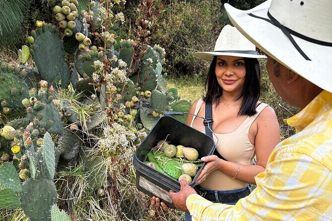 Ride Horses, Learn to Cook with Locals in Mexico City - Authenticity and Cultural Significance