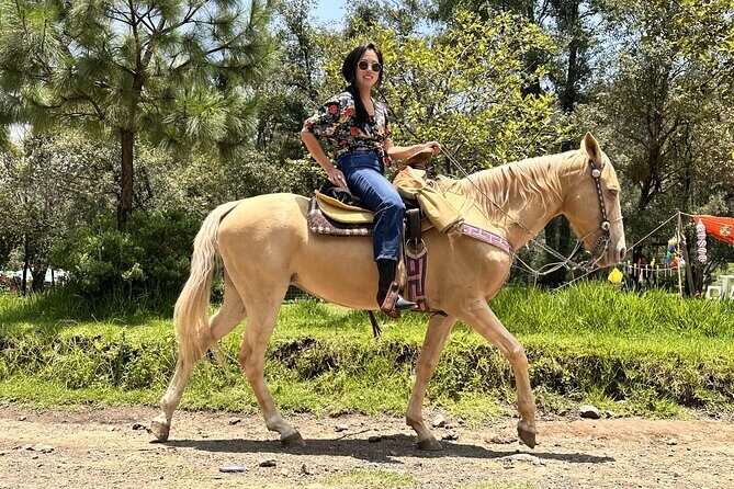 Ride Horses, Learn to Cook with Locals in Mexico City - Who Will Appreciate This Tour?