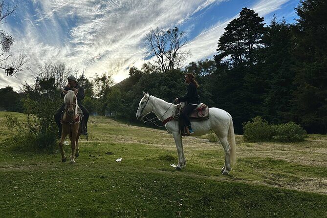 Ride Horses, Learn to Cook with Locals in Mexico City - The Sum Up