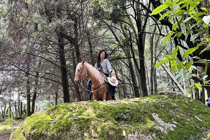 Ride Horses, Learn to Cook with Locals in Mexico City - FAQ