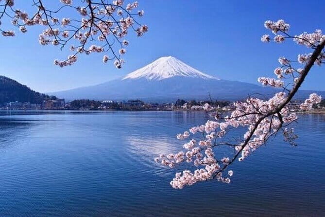 Ride & Roll: Mt. Fuji E-Bike Tour and Sushi Workshop - FAQ