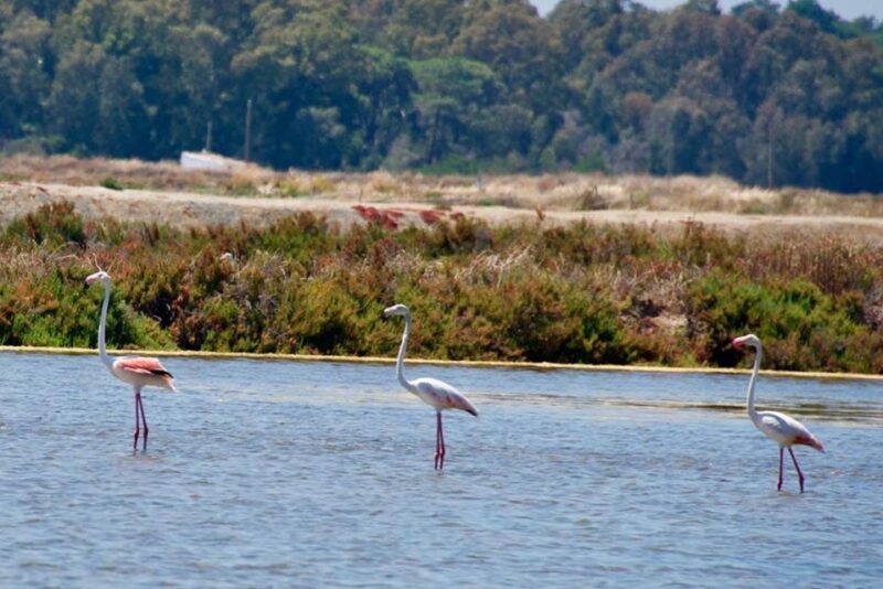 Ride the Day Away: Easy & Affordable E Motor Bike Rentals - Key Points