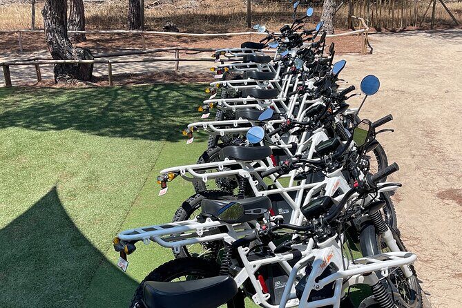 Ride the Day Away: Easy & Affordable Electric Motor Bike Rentals - An In-Depth Look at the Experience