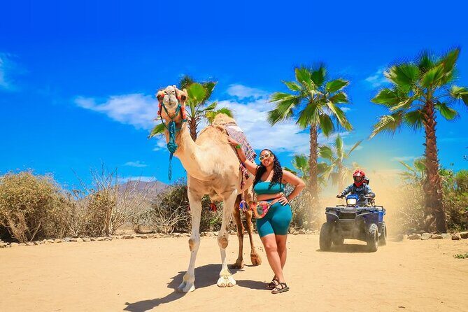 Ride the Wild Camel Safari and Off Road Rush - Starting with the Camel Ride Along Baja’s Coastline