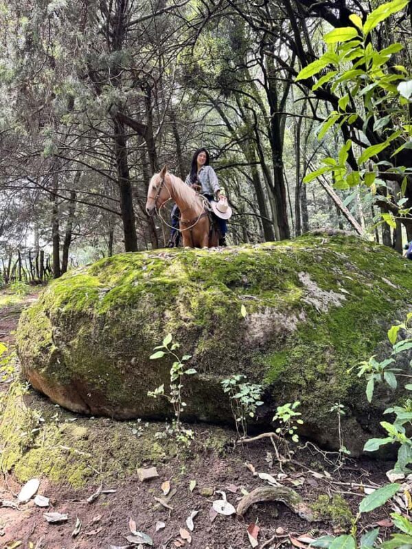 Ride with Mexican Charros: A Cowboy Adventure in Mexico City - A Deeper Look at the Experience