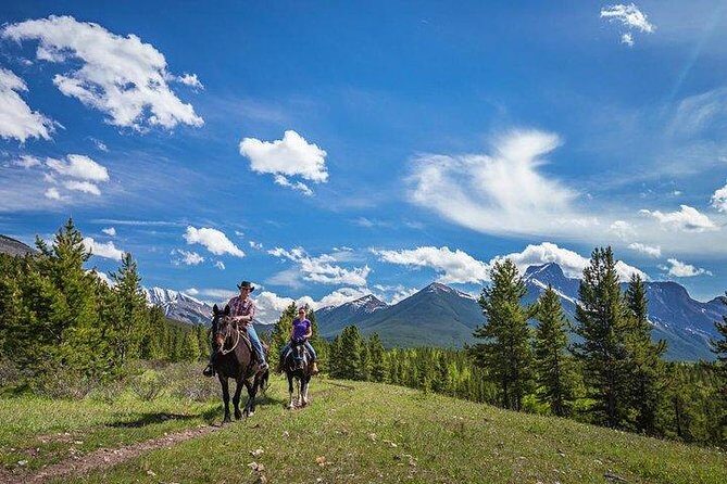 Ridge Ride 2-Hour Horseback Trail Ride in Kananaskis - A Detailed Look at the Ridge Ride Experience