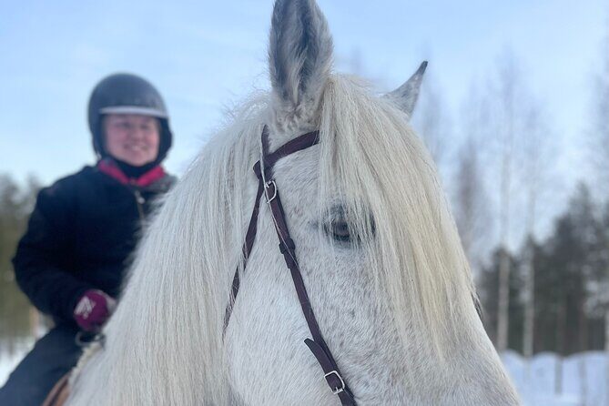 Riding Tour with Finnhorses at Santa Claus Village - Seasonal Highlights and Why They Matter