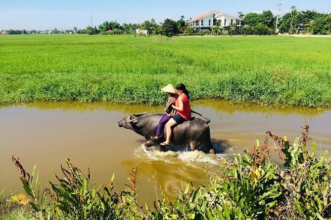 Riding Water Buffalo Hoi An Private Bike Tour - Who Will Love This Tour?