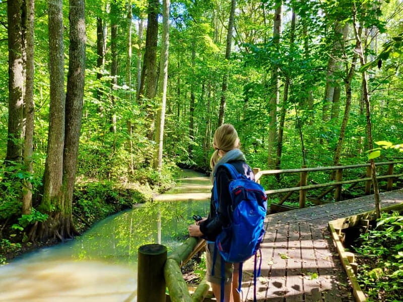 Riga: Best of Kemeri National Park In One Day - Riga: Best of Kemeri National Park In One Day – A Detailed Review