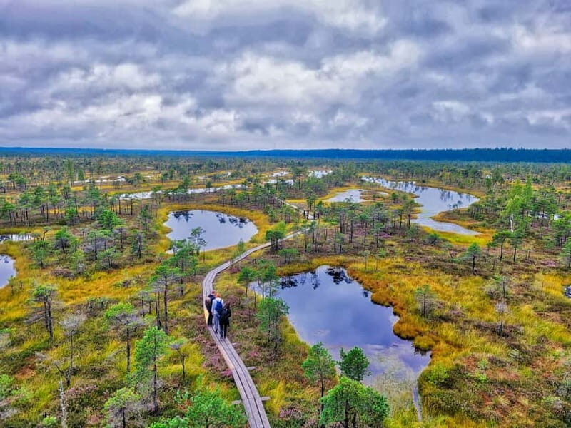 Riga: Best of Kemeri National Park In One Day - Key Points