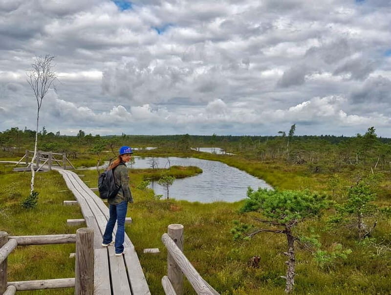 Riga: Best of Kemeri National Park In One Day - Final Thoughts: Who is This Tour Perfect For?