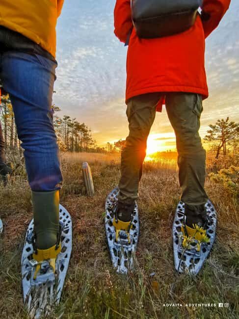 Riga: Bog-Shoe Tour in emeri National Park - The Experience: What It’s Like from Start to Finish