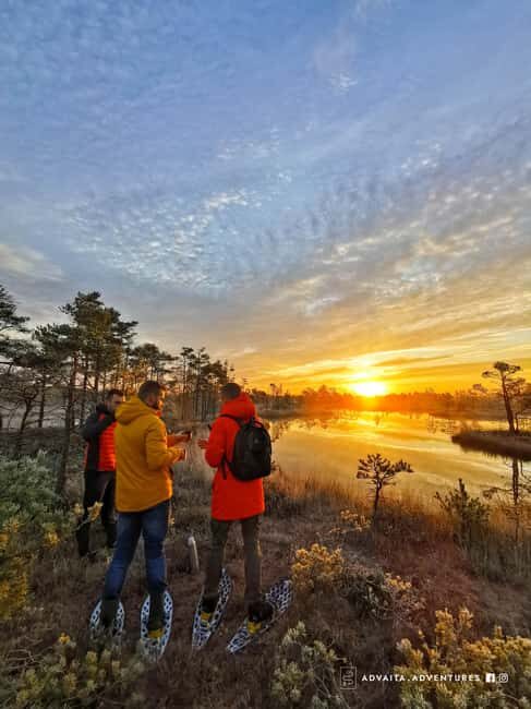 Riga: Bog-Shoe Tour in emeri National Park - Pricing and Value