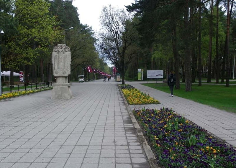 Riga: Green Spaces Bike Tour with Mezaparks and Old Town - Price and Value