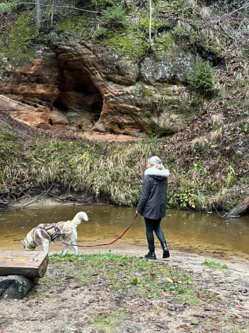 Riga: Husky Hike in the Nature Trail - Key Points