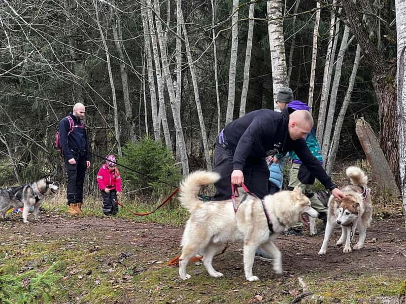 Riga: Husky Hike in the Nature Trail - Final Thoughts: Is It Worth It?