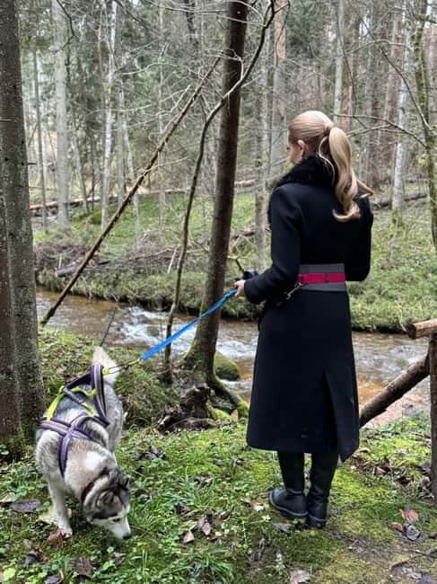 Riga: Husky Hike in the Nature Trail - FAQ